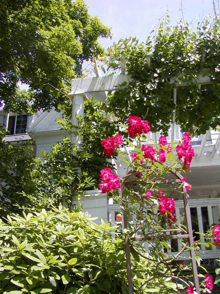 Arabian Horse Inn Sudbury Kültér fotó